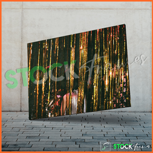 Canvas Prints Single Panels (Night Life) – 18×24, 40×40, etc.