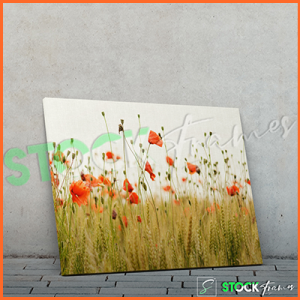 Canvas Prints Single Panels (Flowers 2) – 18×24, 40×40, etc.