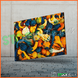 Canvas Prints Single Panels (Garden Fruits) – 18×24 etc.